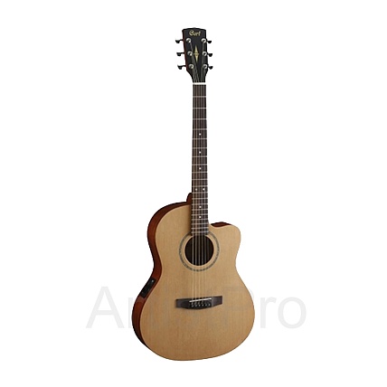 CORT JADE 1 OP