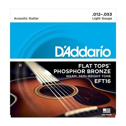 D'Addario EFT16