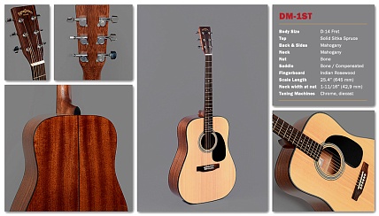 SIGMA DM-1ST BK