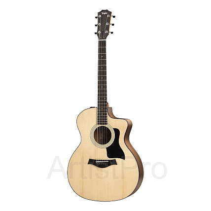 TAYLOR 114ce 100 Series